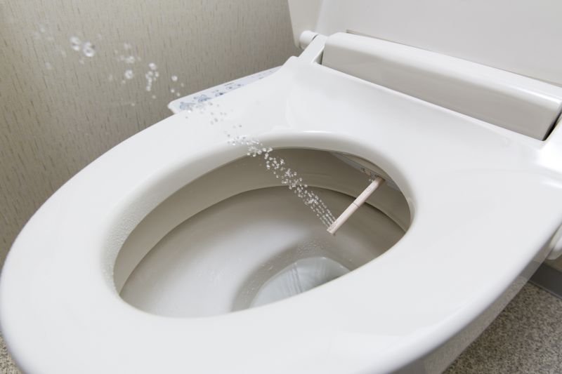 Bidet with Modern Fixtures
